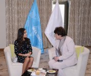 Лейла Алиева: В Азербайджане уделяется большое внимание экологическим программам и проектам  (ФОТО)