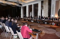 Лейла Алиева: Азербайджан стал первой страной в Восточной Европе, взявшей на себя исследование «зеленой экономики» и завершившей это дело (ФОТО)