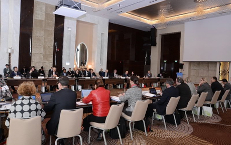 Лейла Алиева: Азербайджан стал первой страной в Восточной Европе, взявшей на себя исследование «зеленой экономики» и завершившей это дело (ФОТО)