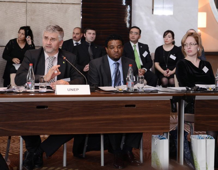 Лейла Алиева: Азербайджан стал первой страной в Восточной Европе, взявшей на себя исследование «зеленой экономики» и завершившей это дело (ФОТО)