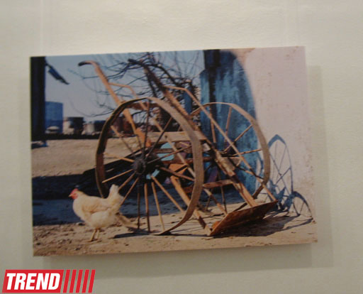 В Баку открылась выставка Шаина Гусейнова "Без названия" (фотосессия)