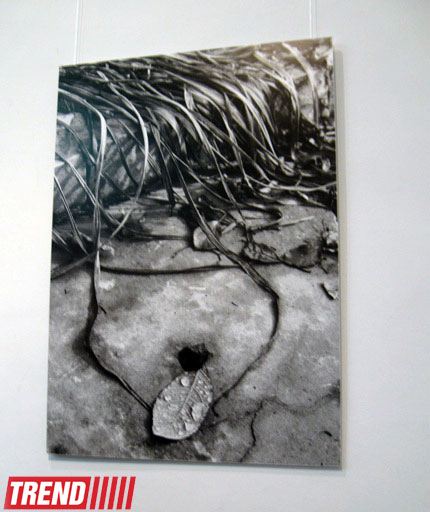 В Баку открылась выставка Шаина Гусейнова "Без названия" (фотосессия)