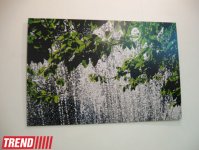 В Баку открылась выставка Шаина Гусейнова "Без названия" (фотосессия)