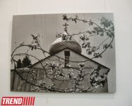 В Баку открылась выставка Шаина Гусейнова "Без названия" (фотосессия)