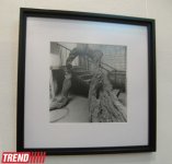 В Баку открылась выставка Шаина Гусейнова "Без названия" (фотосессия)