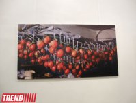 В Баку открылась выставка Шаина Гусейнова "Без названия" (фотосессия)