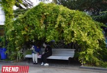 ЯЛТА: на самом романтичном курорте CCCР (фотосессия)