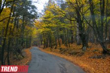 ЯЛТА: на самом романтичном курорте CCCР (фотосессия)