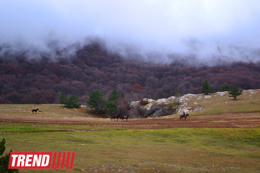ЯЛТА: на самом романтичном курорте CCCР (часть третья - фотосессия)