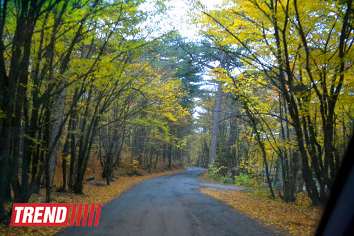 ЯЛТА: на самом романтичном курорте CCCР (часть третья - фотосессия)