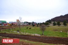 ЯЛТА: на самом романтичном курорте CCCР (часть третья - фотосессия)