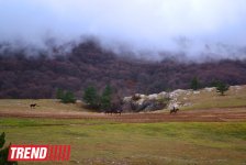 ЯЛТА: на самом романтичном курорте CCCР (часть третья - фотосессия)