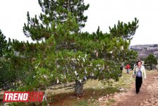 ЯЛТА: на самом романтичном курорте CCCР (часть третья - фотосессия)