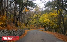 ЯЛТА: на самом романтичном курорте CCCР (часть третья - фотосессия)