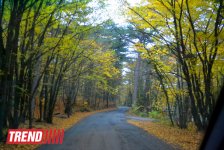 ЯЛТА: на самом романтичном курорте CCCР (часть третья - фотосессия)