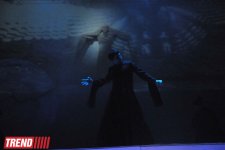 Творчество Низами обретает общечеловеческий масштаб - лауреат Государственных премий Литвы и СССР Йонас Вайткус (фото)