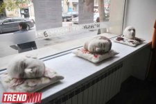 В Баку представлены оригинальные работы из Литвы и азербайджанки из США (фото)