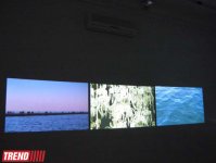 "Песня Апшерона" художника из Норвегии, или "Великий вождь", "Венецианские строфы"…(фото)