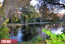 Дублин: в гостях у "Кельтского тигра"  (часть первая - фотосессия)