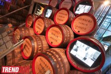 Дублин: в гостях у "Кельтского тигра"  (часть первая - фотосессия)