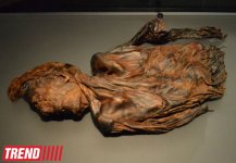 Дублин: в гостях у "Кельтского тигра"  (часть первая - фотосессия)