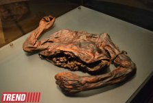 Дублин: в гостях у "Кельтского тигра"  (часть первая - фотосессия)