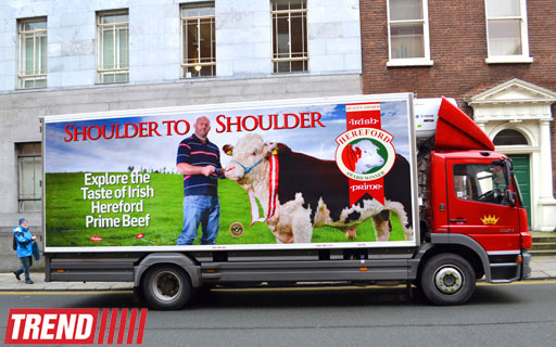 Дублин: в гостях у "Кельтского тигра" (часть вторая - фотосессия)