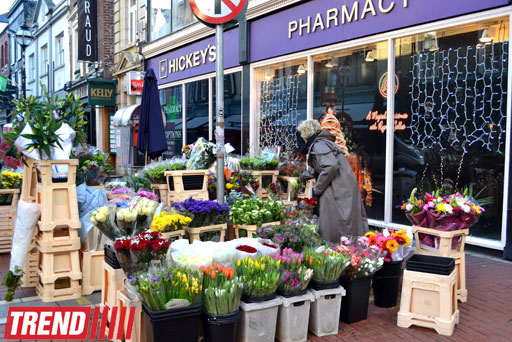 Дублин: в гостях у "Кельтского тигра" (часть вторая - фотосессия)