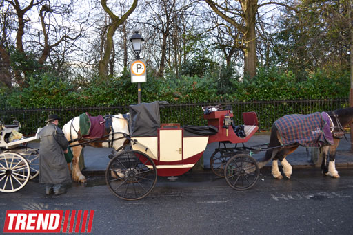 Дублин: в гостях у "Кельтского тигра" (часть вторая - фотосессия)