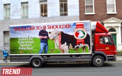 Дублин: в гостях у "Кельтского тигра" (часть вторая - фотосессия)