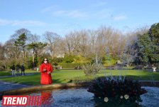 Дублин: в гостях у "Кельтского тигра" (часть вторая - фотосессия)