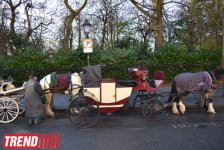 Дублин: в гостях у "Кельтского тигра" (часть вторая - фотосессия)