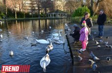 Дублин: в гостях у "Кельтского тигра" (часть вторая - фотосессия)