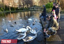 Дублин: в гостях у "Кельтского тигра" (часть вторая - фотосессия)