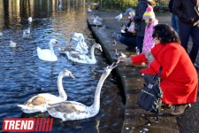 Дублин: в гостях у "Кельтского тигра" (часть вторая - фотосессия)