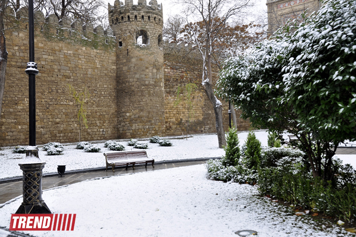 Заснеженный Баку (фотосессия)