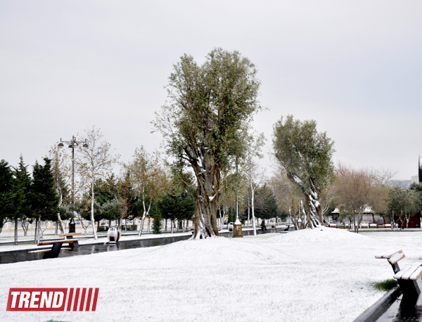 Заснеженный Баку (фотосессия)