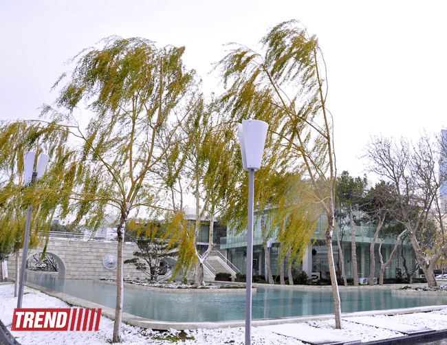 Заснеженный Баку (фотосессия)