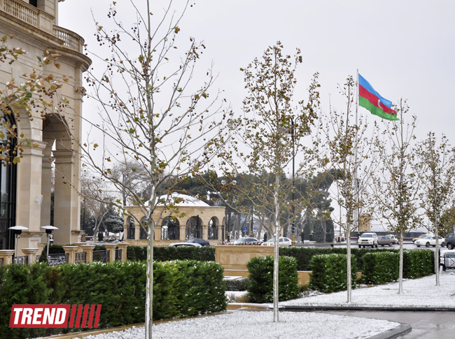 Заснеженный Баку (фотосессия)