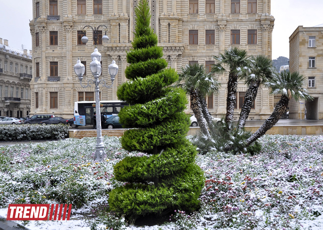 Заснеженный Баку (фотосессия)