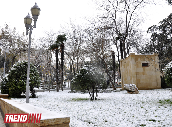 Заснеженный Баку (фотосессия)