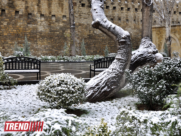 Заснеженный Баку (фотосессия)