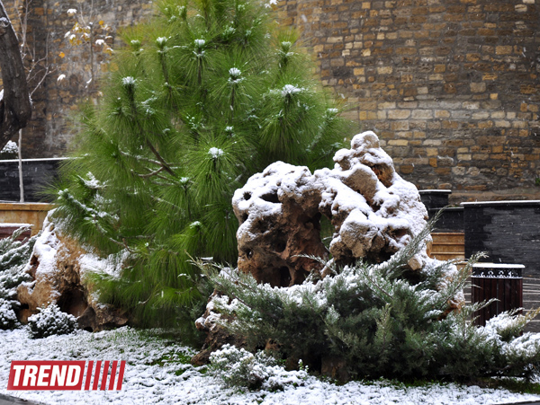 Заснеженный Баку (фотосессия)