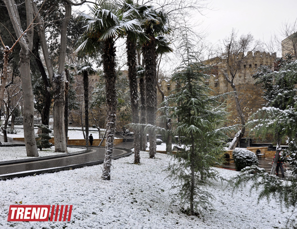 Заснеженный Баку (фотосессия)