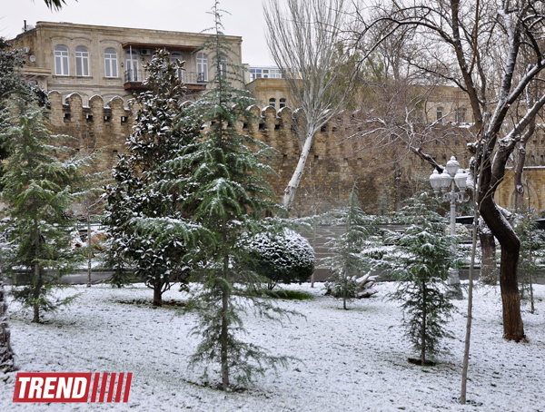 Заснеженный Баку (фотосессия)