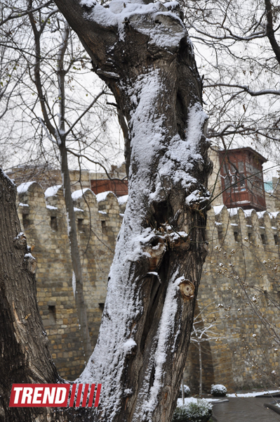 Заснеженный Баку (фотосессия)