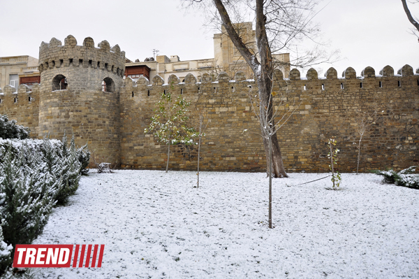 Заснеженный Баку (фотосессия)