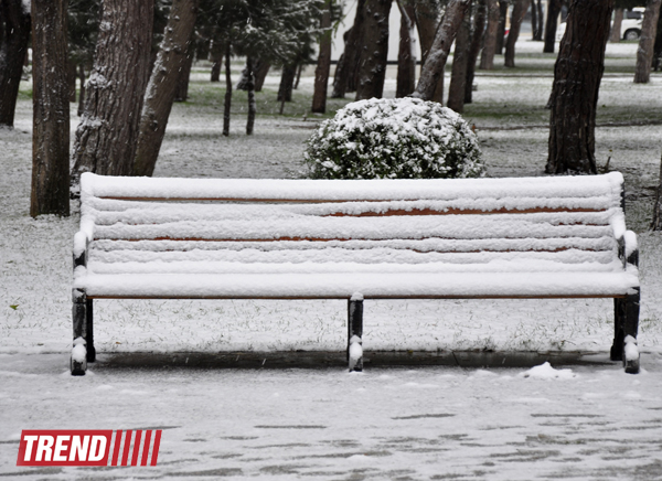 Заснеженный Баку (фотосессия)