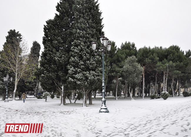 Заснеженный Баку (фотосессия)