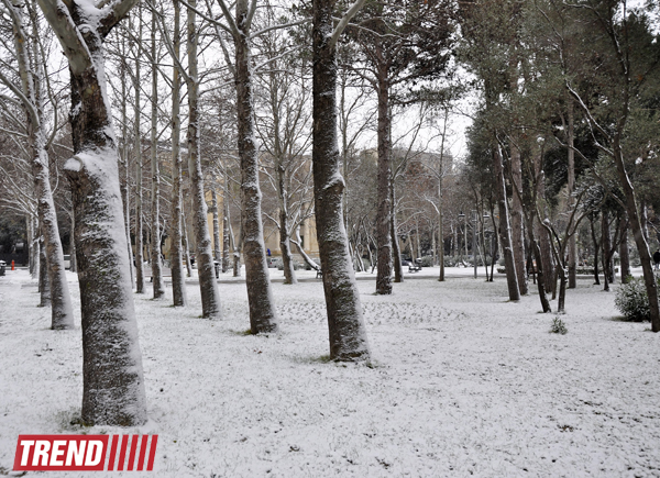 Заснеженный Баку (фотосессия)